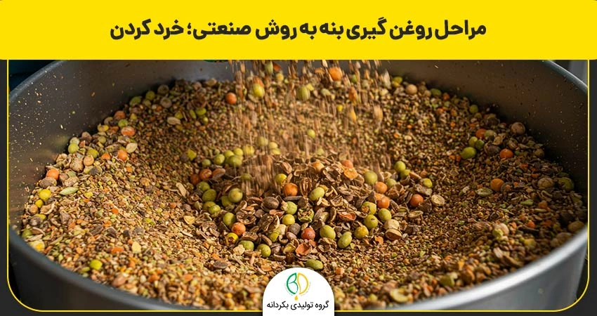 روغن گیری صنعتی بنه