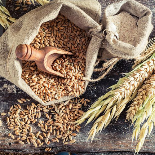 قیمت دستگاه آسیاب گندم صنعتی