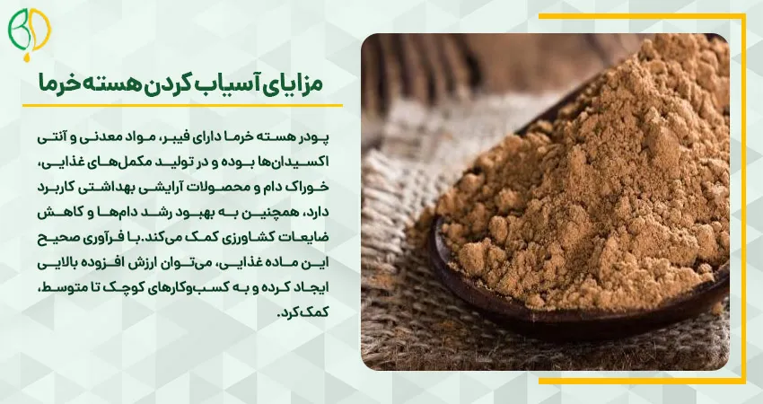 مزایای آسیاب کردن هسته خرما