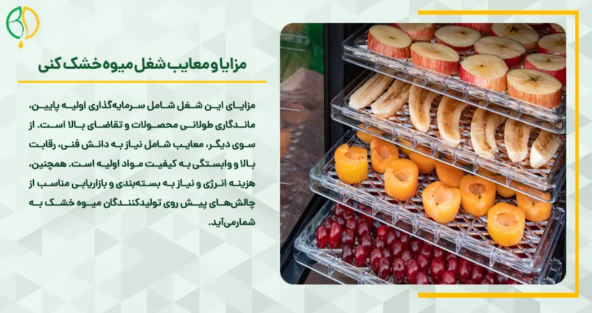 مزایا و معایب شغل میوه خشک کنی