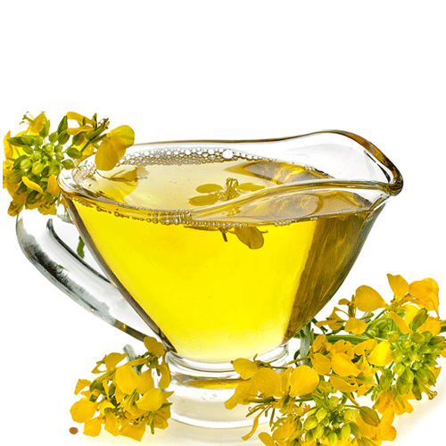 دسته بندی روغن های ارگانیک